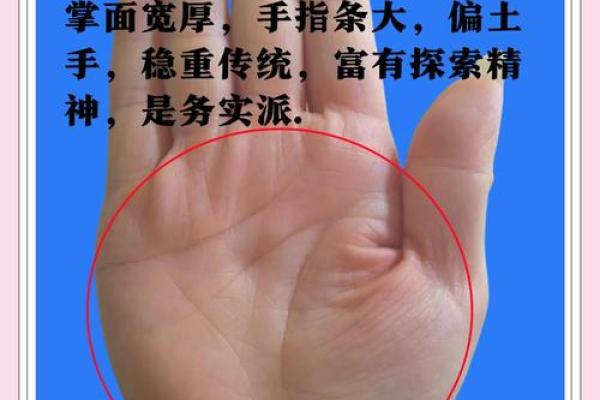 看手相算命：第四课 论事业命运