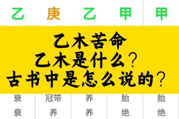 乙木秋季上等八字格局