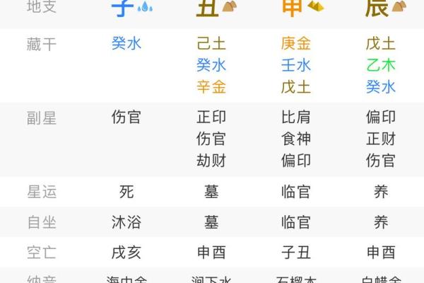 八字怎么排盘,查四柱八字的软件
