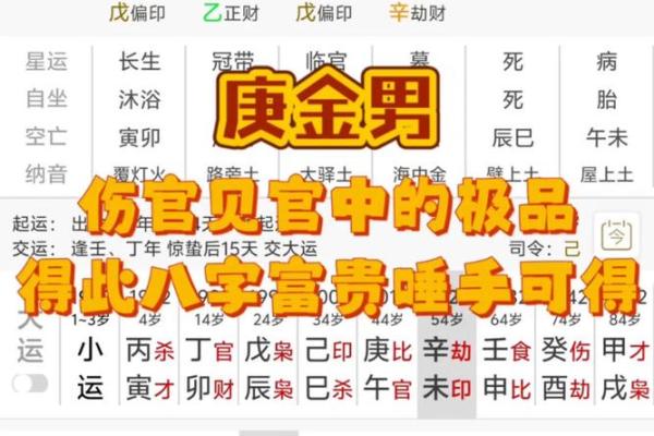 八字实例35：这不是伤官见官吗，为什么还能当官？