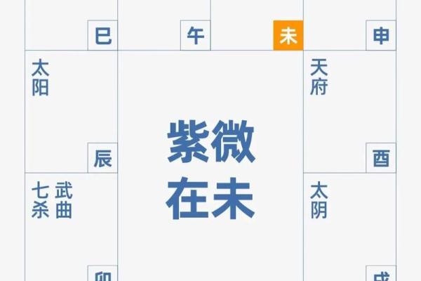 男生紫微斗数看那些 紫微斗数男命？