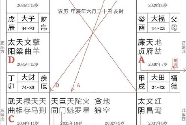 紫薇斗数忌星入十二宫