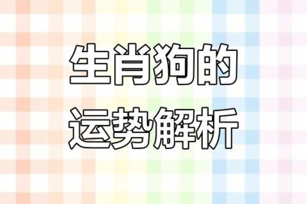 免费算命属狗明年财运