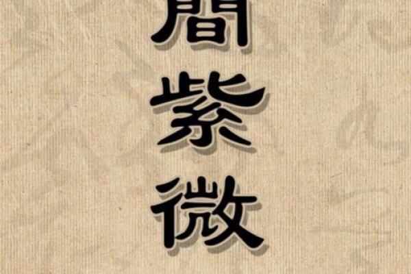 博士紫微斗数 紫微斗数 命宫 博士？