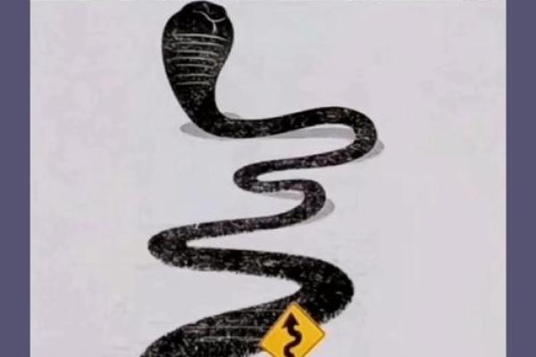 心理测试：第一眼你觉得哪个浪花最美？测你这一生的命运如何？