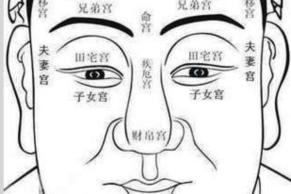 紫微斗数诸星落诸宫之:太阴星奴仆宫详解 紫微斗数诸星落诸宫之:太阴星奴仆宫详解