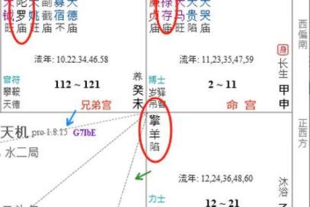紫薇斗数禄存口诀