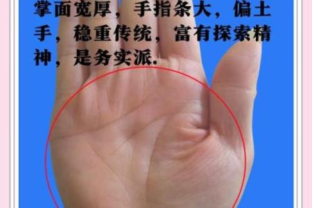 看手相算命：第四课 论事业命运