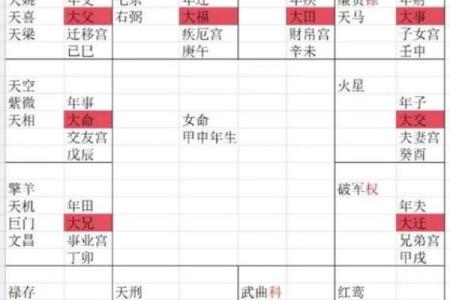 紫微斗数财运为负 紫微斗数看财运级别？