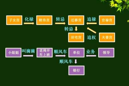 紫薇斗数怎么看禄转忌