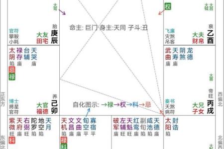 紫薇斗数忌星入十二宫