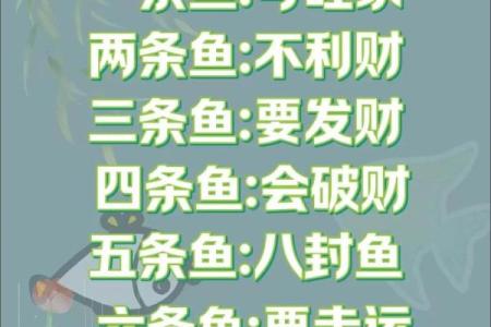 风水金命的人可以养鱼吗可以增加财富吗