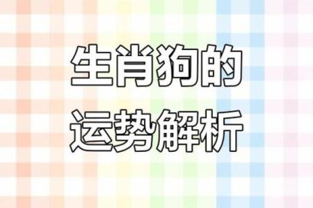 免费算命属狗明年财运