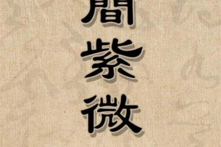 博士紫微斗数 紫微斗数 命宫 博士？
