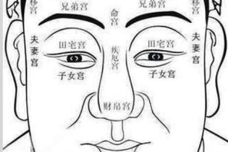 紫微斗数诸星落诸宫之：太阴星奴仆宫详解