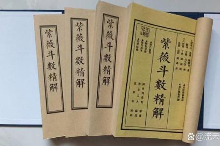 香港紫薇斗数高人