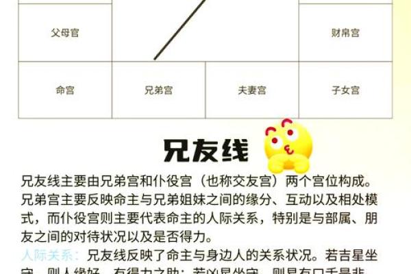 紫薇斗数全书真假判断