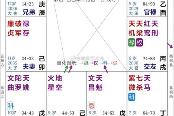 紫薇斗数测国运