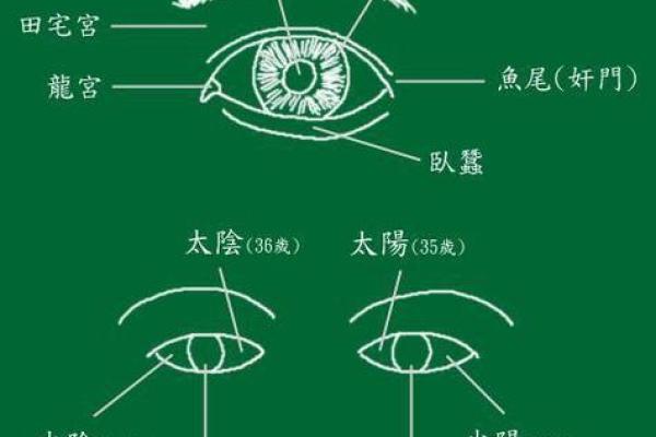 风水男人面相眼睛小预示有什么性格特征