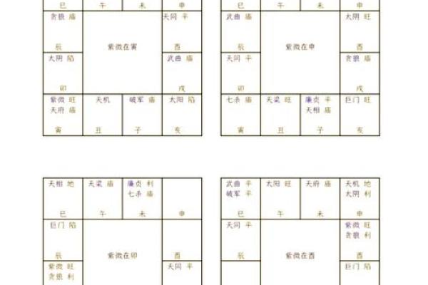 紫薇星盘斗数排盘