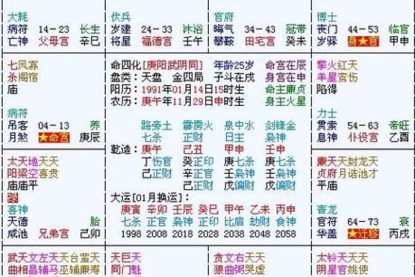紫薇星盘斗数排盘