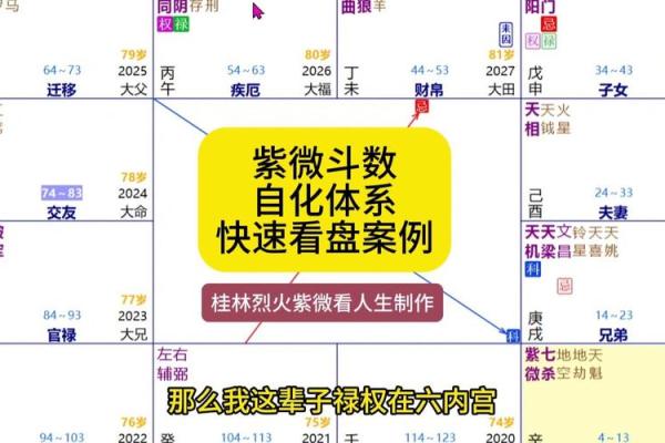 紫薇斗数网站在线排盘