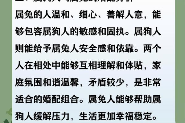 属狗姻缘属相婚配表 属狗的婚姻属相配对？
