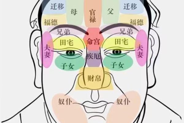 风水解析下垂眼的人性格特征
