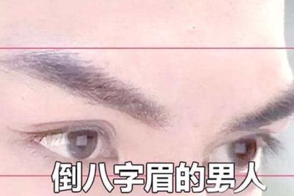 八字眉男人命运与性格特征解析