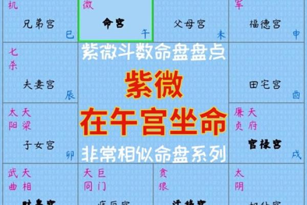 紫薇斗数文曲在命宫