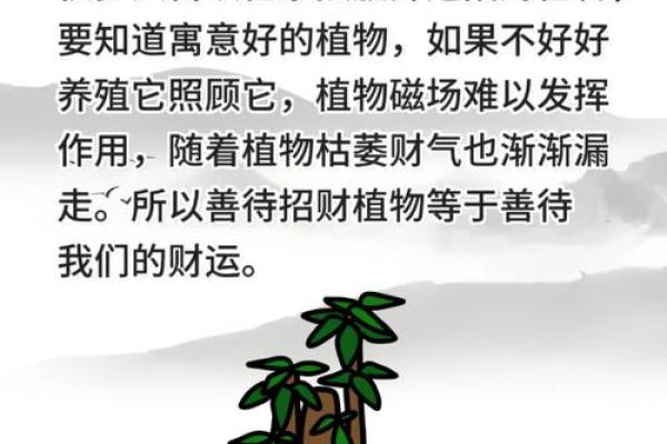 漏财的风水习惯你知道吗