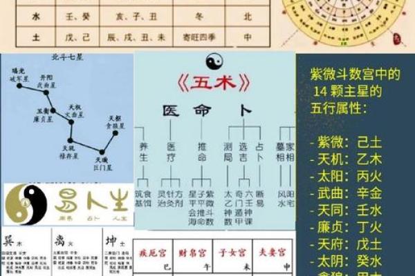 八字与紫微