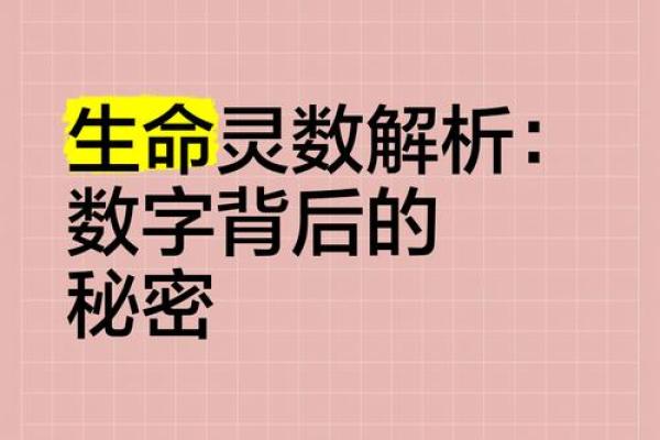 生命灵数4的女人配对什么