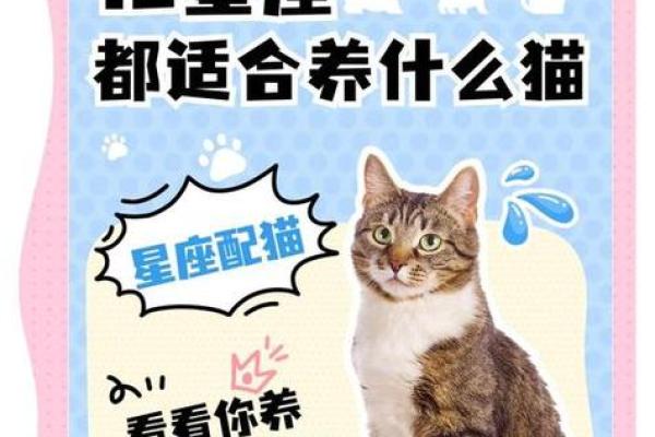 风水上哪几个生肖的人不能养猫禁忌
