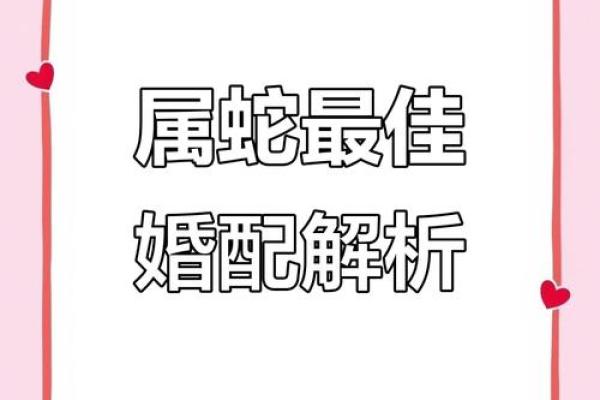 男生肖蛇配对，这几点你需要知道！
