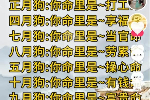 2001年属什么生肖属于什么命 2001年属什么生肖配对虎