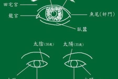 风水男人面相眼睛小预示有什么性格特征