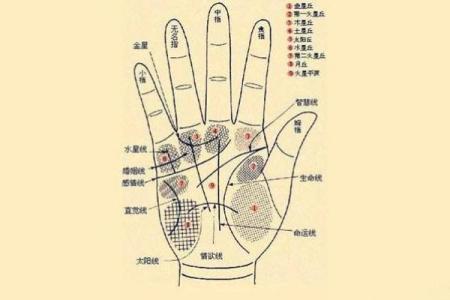 女人手相算命图解：嫁得好的手相