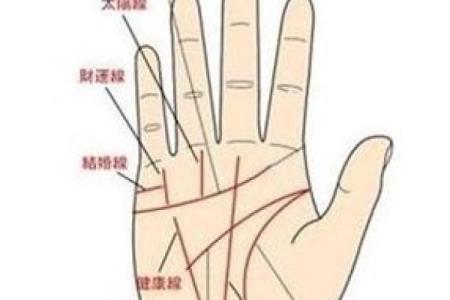 手相算命：生命线断开图解