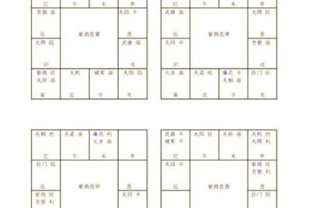 紫薇星盘斗数排盘