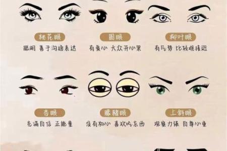 风水解析下垂眼的人性格特征