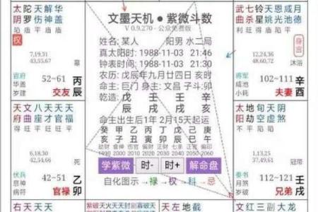 紫薇斗数看谁漂亮