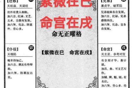 紫薇斗数文曲在命宫