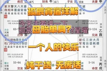 孤辰 寡宿坐命会活成寡人吗？【紫微斗数】【心婷解惑】
