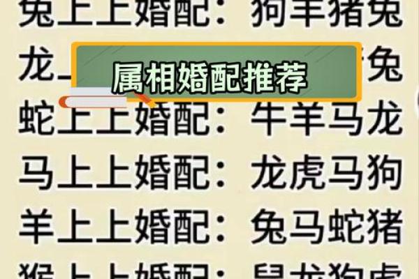 姓名婚姻配对玩具图片大全 姓名配对结婚？
