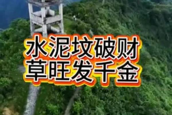 风水师：坟墓前最怕放什么东西