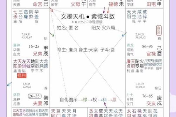 紫薇斗数怎么起运