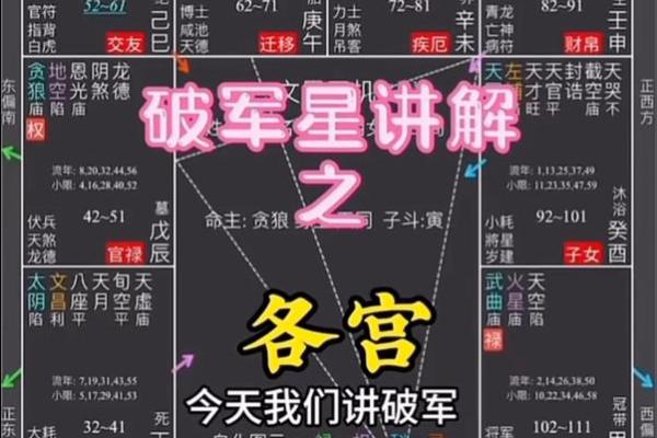 紫微斗数戊级星大小排序 戊子的官星？