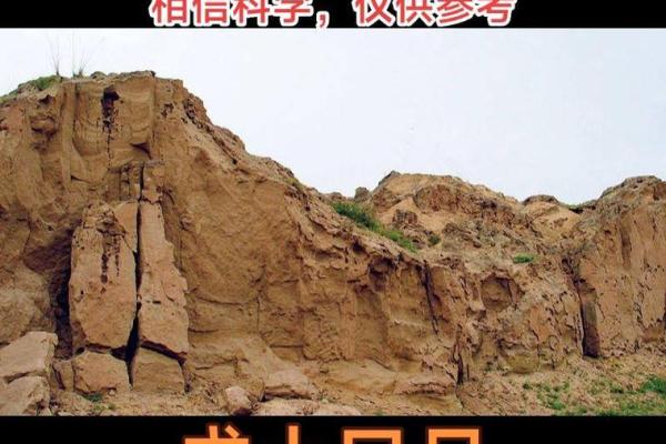 八字巳月