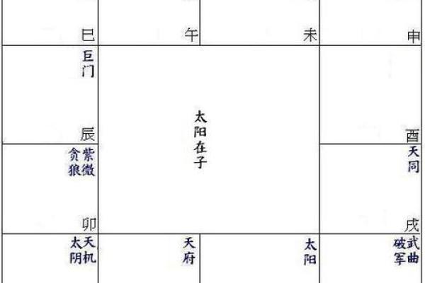 紫薇斗数大限天同巨门